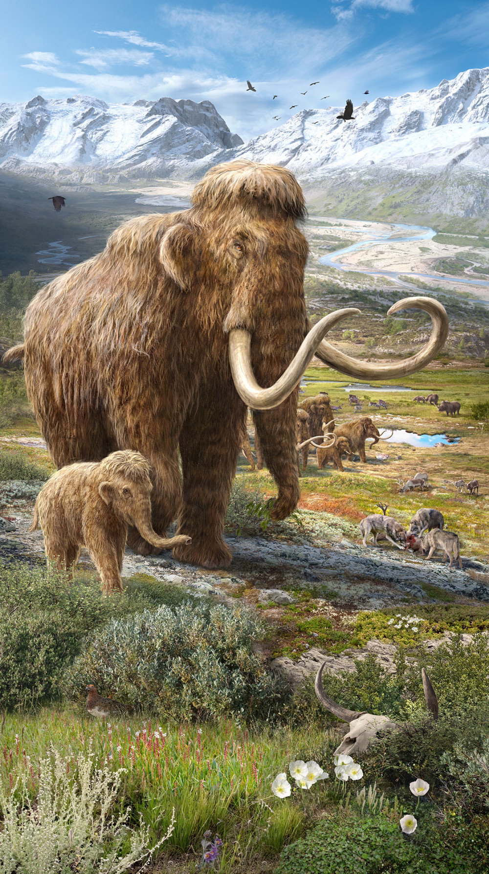 Mammut Salzachtal
